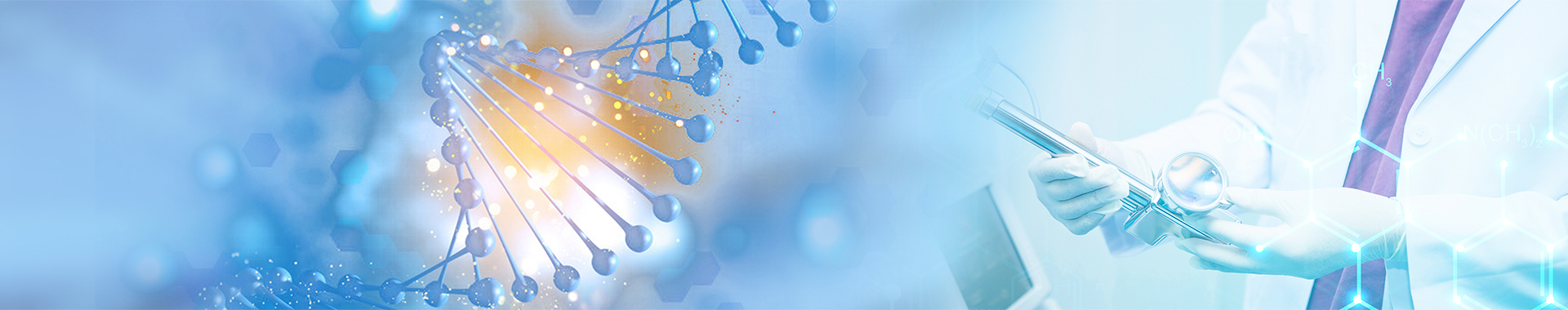 �ʼ�Royal88��(����)- ������¼���