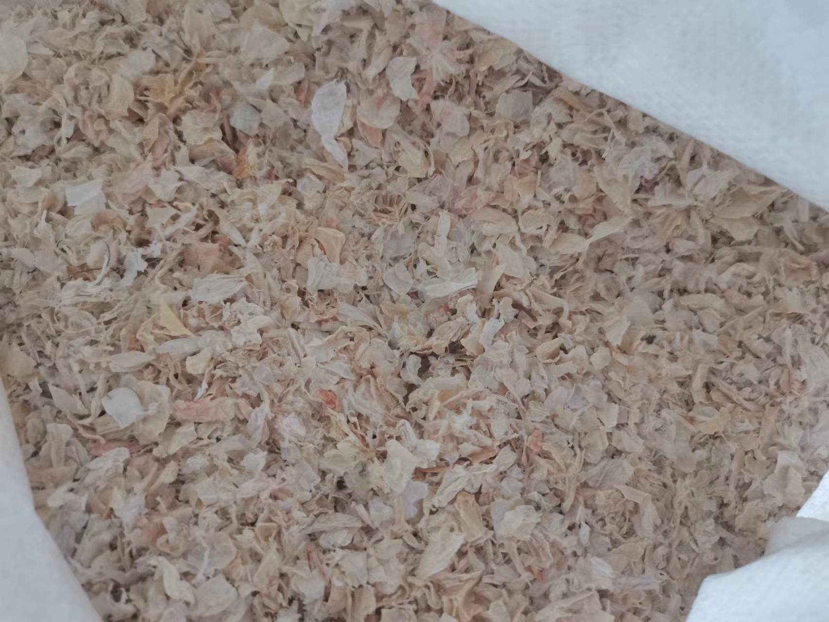 �ʼ�Royal88��(����)- ������¼���